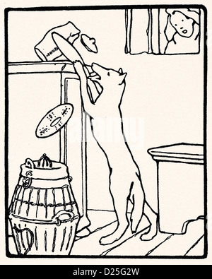 Fuchs stiehlt Essen Stockfoto