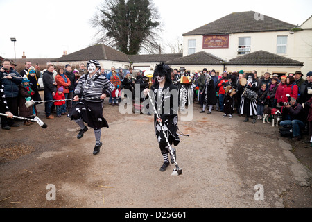 Morris Tanz von Schwein Dyke Molly Tänzer, Whittlesey Stroh tragen Festival, Cambridgeshire UK 2013 Stockfoto