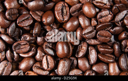 Nahaufnahme von Kaffeebohnen in einem Studio gedreht. Stockfoto