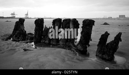 Die Überreste einer alten Schiffswrack sind sichtbar bei Ebbe am Strand von South Gare in Teesside in England. Stockfoto