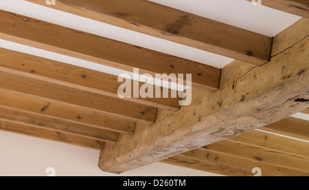 Schöne traditionelle Holzbalken in einer neu umgebauten Scheune im ländlichen England. Stockfoto