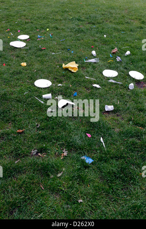 Berlin, Deutschland, Müll nach einem Picknick auf dem Rasen Stockfoto