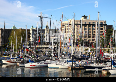 Marina voller Segelboote in Victoria, British Columbia, Kanada Stockfoto