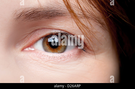 Makroaufnahme der jungen Frau braune Augen Stockfoto