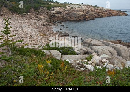 Ufer, Cape Breton Highlands NP Stockfoto