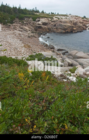 Ufer, Cape Breton Highlands NP Stockfoto