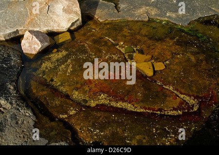 Ansichten auf Wonderland Trail Stockfoto