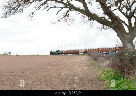 Ziehen einen Personenzug auf der North Norfolk Railway Dampflok Stockfoto