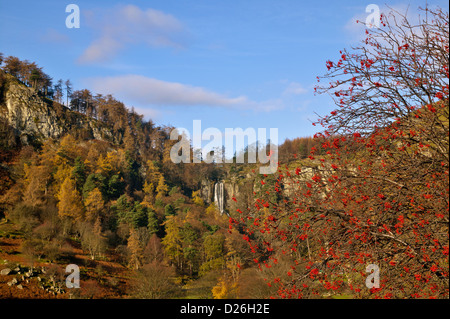 PISTYLL RHAEADR HOHEN WASSERFALL IN POWYS, WALES IM HERBST Stockfoto