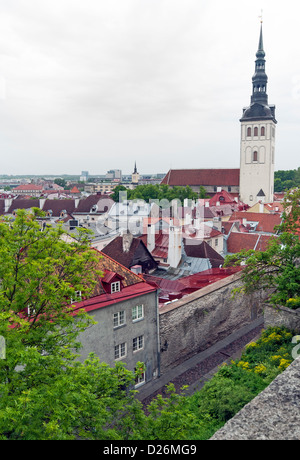 Blick über die roten Dächer der Tallinner Altstadt mit St.-Nikolaus Kirche auf der rechten Seite Stockfoto