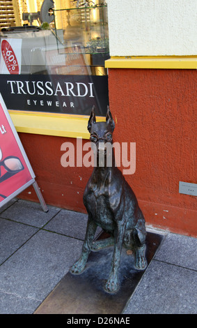 Hund trägt Brille außerhalb ein Optiker in Vilnius Stockfoto