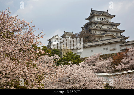 Die Burg Himeji, aka The White Heron Castle, ein UNESCO-Weltkulturerbe unter den Kirschblüten im Frühling, Himeji, Japan Stockfoto