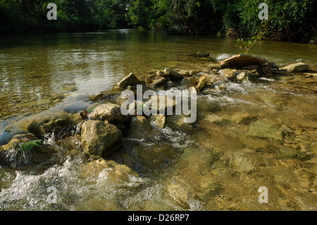 Felsige Untiefen der Zwiebel Creek Texas Stockfoto