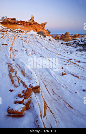 Schnee auf Felsformationen im Coyote Buttes Stockfoto