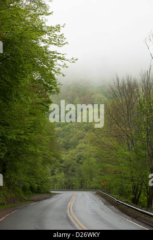 Eine einsamen Berg-Autobahn führt vorbei an dicht belaubten Bäumen im Frühjahr Nebel in den Berkshires in Massachusetts. Stockfoto