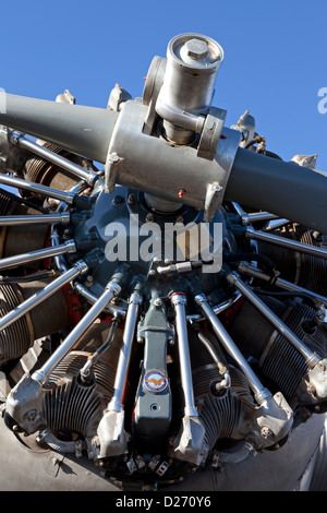 Einer der drei Sternmotoren für Flug auf Ford Trimotor verwendet. Stockfoto