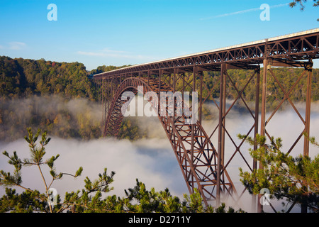 USA, West Virginia, Babcock State Park, Brücke im Nebel Stockfoto