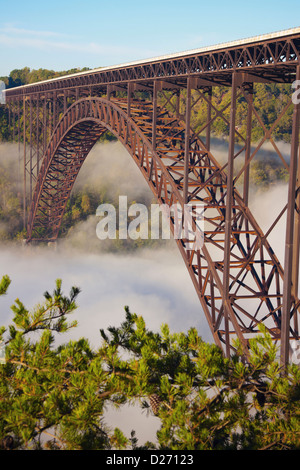 USA, West Virginia, Babcock State Park, Brücke im Nebel Stockfoto