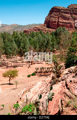 Panoramablick vom Abraha Atsbeha Kirche, in der Nähe von Mekele, Äthiopien, Afrika. Stockfoto