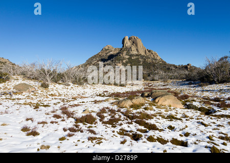 Herbst Schnee auf Mount Buffalo in Victoria, Australien Stockfoto