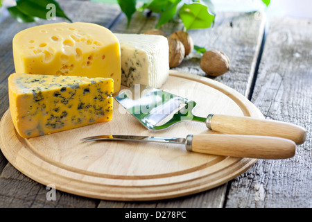 Käse-verschiedene Sortiment auf Holzbrettern Stillleben Stockfoto