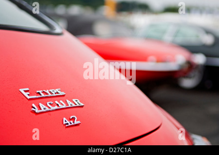 Jaguar E-type close-up Stockfoto