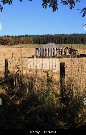 Heuballen stapeln unter einem Schutz in einem Bauern Feld in Perthshire Schottland Stockfoto