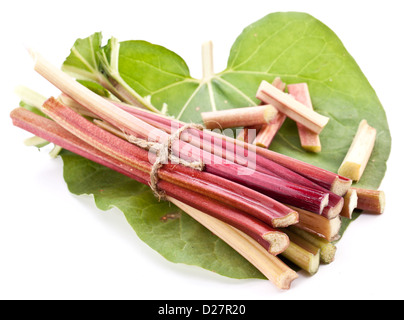 Rhabarber Stängel auf weißem Hintergrund. Stockfoto