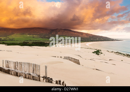 Sanddüne. Punta Paloma, Tarifa, Costa De La Luz, Cádiz, Andalusien, Spanien, Europa. Stockfoto