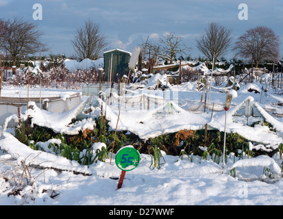 schneebedeckte Kleingärten im Winter, Norfolk, england Stockfoto