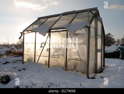 Schneebedecktes Zuteilungsgewächshaus im Winter, norfolk, england Stockfoto