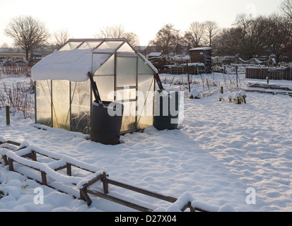 schneebedeckte Kleingärten im Winter, Norfolk, england Stockfoto