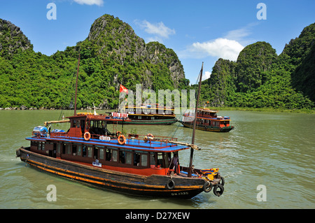 Vietnam, Halong-Bucht, Ha Long-Bucht mit Junk-Booten Stockfoto