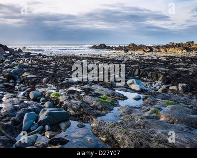 Felsen und Gezeitenbecken am Duckpool an der atlantischen Küste von North Cornwall in der Nähe von Bude, England ausgesetzt. Stockfoto