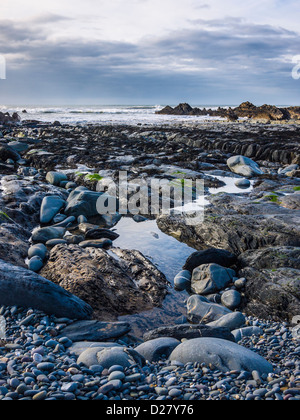 Felsen und Gezeitenbecken am Duckpool an der atlantischen Küste von North Cornwall in der Nähe von Bude, England ausgesetzt. Stockfoto