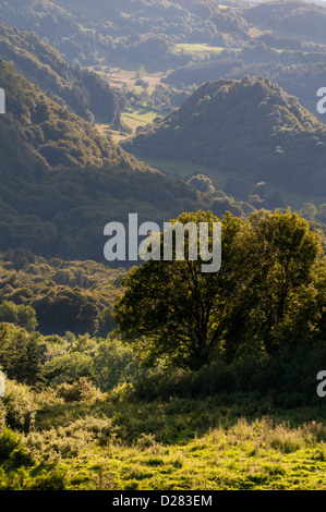 Hügelige Vulkanlandschaft der Auvergne. Stockfoto