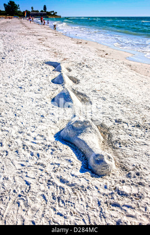 Aligator Sand Skulptur am Siesta Key Beach in Sarasota Florida Stockfoto