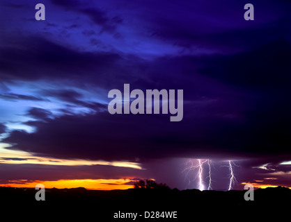 Dramatische Sonnenuntergänge/Sonnenaufgänge in der Sonora-Wüste von Arizona. USA-Maricopa County. Stockfoto