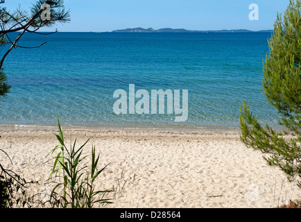 Plage du Pellegrin, einem einsamen Strand in der Nähe von Bormes-Les-Mimosas, Var, Provence, Frankreich Stockfoto