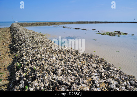 Fisch Sperre / Écluse, traditionelle Art der Fallenjagd Fisch bei Ebbe auf der Insel Ile de Ré, Charente-Maritime, Frankreich Stockfoto