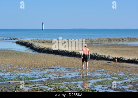 Fisch Sperre / Écluse, traditionelle Art der Fallenjagd Fisch bei Ebbe auf der Insel Ile de Ré, Charente-Maritime, Frankreich Stockfoto