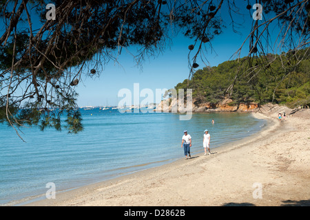 Plage du Pellegrin, einem einsamen Strand in der Nähe von Bormes-Les-Mimosas, Var, Provence, Frankreich Stockfoto