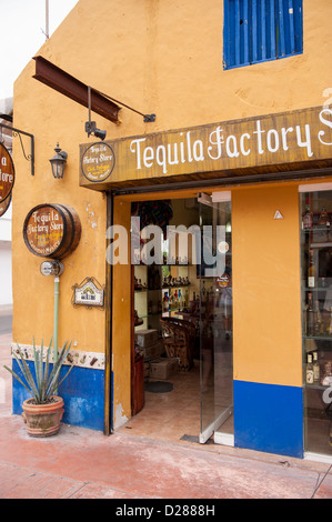 Mexiko, Cozumel, San Miguel, Tequila Factory Store Stockfoto