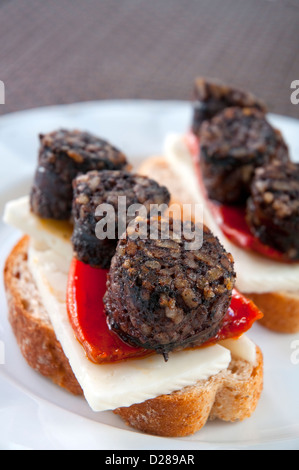 Spanische Tapa: Morcilla de Burgos mit Paprika und Käse. Spanien. Stockfoto