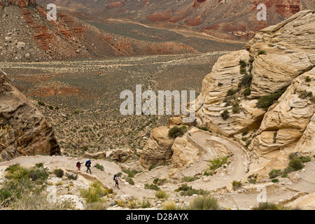 Wanderer kommen auf dem Weg von Havasu Fälle in Supai, Arizona, USA Stockfoto