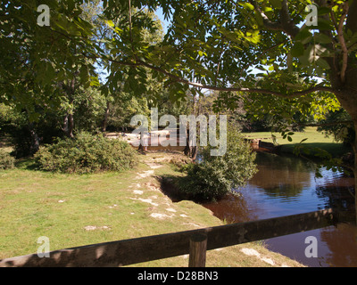 New Forest Ausflugsort an Balmer Rasen Brockenhurst New Forest Hampshire England UK Stockfoto