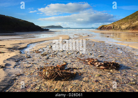 Pentireglaze Haven Beach in Polzeath in North Cornwall Stockfoto