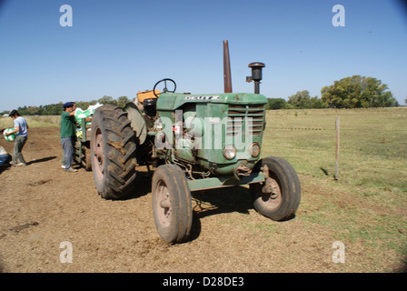 Arbeiten in der Farm Stockfoto