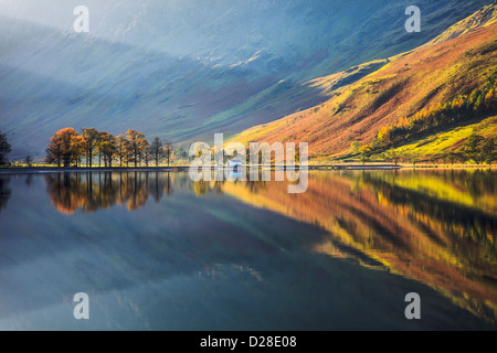 Den Kiefern am südlichen Ende von Buttermere im Lake District National Park mit Wellen von Licht des frühen Morgens Stockfoto