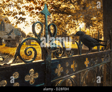 Dohle auf Tore zum Friedhof Stockfoto